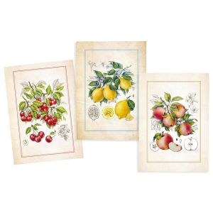 Stof Torchons Lot de 3 Torchons en Coton Serg&eacute; - fruits