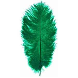 Ruedelafete Lot de 5 Plumes d'Autruche Spadona 50cm, Vert