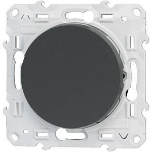 Schneider Electric Va-et-vient Anthracite 10 A &Agrave; Vis - Odace