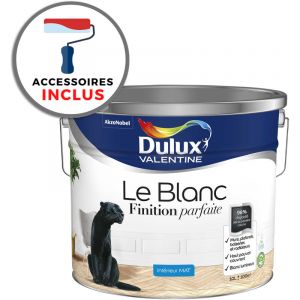 Dulux Valentine Peinture + accessoires Finition Parfaite Mat Blanc 10 l - Blanc