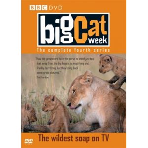 Big Cat Week - Saison 4