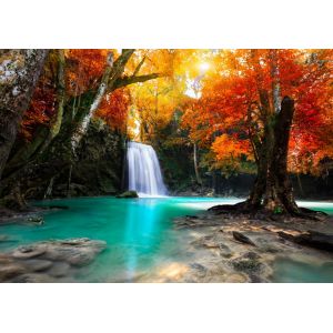 Grafika Cascade dans la Forêt