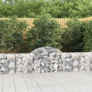 VidaXL Paniers à gabions arqués 2 pcs 200x30x60/80 cm Fer galvanisé n/a
