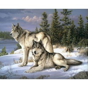 Figured'Art Peinture par Numéro Adulte Couple de loups - Activité Manuelle Kit de Loisir Créatif DIY Numéro d'Art Complet - 40x50cm sans châssis en bois