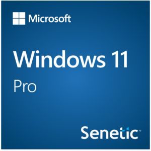 Microsoft Windows 11 Pro 64Bit Eng Intl 1pk DSP OEI DVD FQC-10528