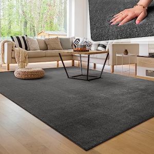 Paco Home Tapis de salon Unicolore Lavable Pile courte et douce Anthracite, 300x400 cm