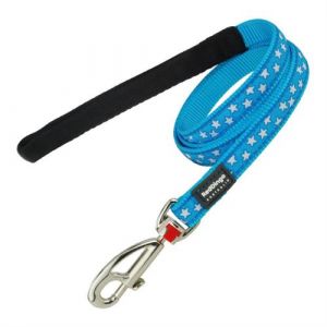Laisse pour Chien Turquoise 1 2 120 cm