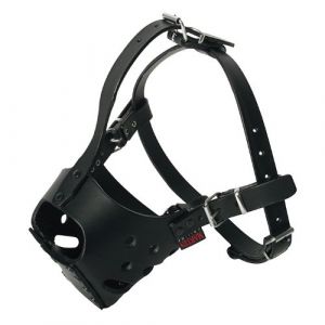 Martin Sellier Muselière pour chien en cuir naturel Amstaff taille 1