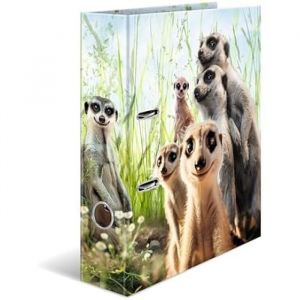 Herma 20048 Classeur A4 animaux suricate 7 cm de large en carton avec impression int&eacute;rieure pour l&eacute;cole et le bureau Classeur &agrave;