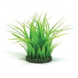 Biorb Anneau d'herbe de décoration pour aquarium (taille M)