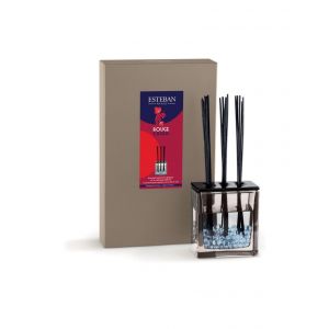 Image de Esteban Paris Bouquet parfum&eacute; triptyque et sa recharge 250ml rouge cassis
