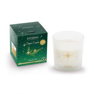 Esteban Paris Iconic Color SAPIN EXQUIS Bougies 450 g unisex