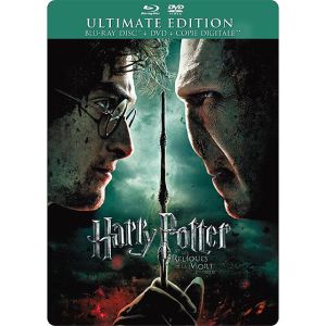 Harry Potter VII, Harry Potter et les Reliques de la Mort - Partie 2