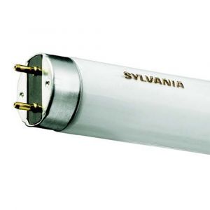 Image de Sylvania TL T8 25W 33&apos;&apos; 840 818mm