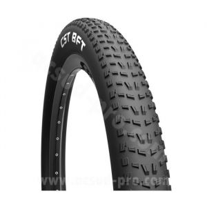 CST Pneu Velo - ACSI - 20 x 4.00 - Fat Bike - Quatre Saisons - Profil Adapté VTT