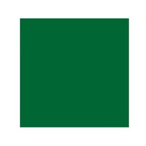 40 serviettes papier gaufré 38cm vert foncé - dart 149424
