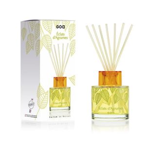 Goa Parfum d'intérieur tier Intemporel éclats d'agrumes 200 ml