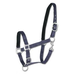Waldhausen Licol pour cheval satin