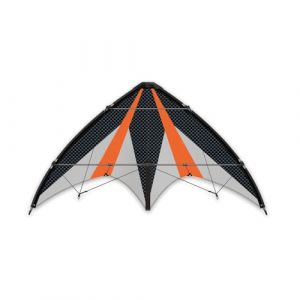 G&Uuml;NTHER FLUGSPIELE Paul 1028 - Cerf-Volant de Sport Synergy 125, Voile en Polyester Ripstop, avec Deux bobines de Direction et des Cordes, Dimensions env. 125 x 54 cm, pour Enfants &agrave; partir de 10 Ans
