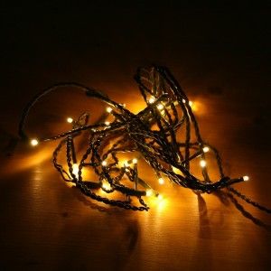 Blachère illumination Guirlande Flicker 24 LED (3.5m)