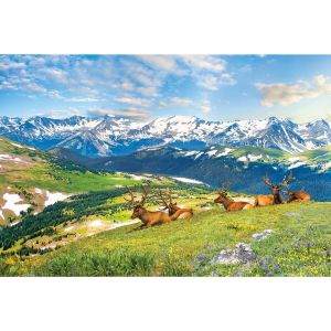 Eurographics Les Élans à la Montagne