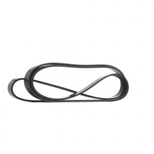 RIDEX Courroie Poly-V JEEP 305P0639 53034095AA,K53034095AA