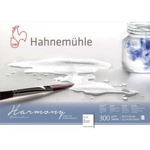 Hahnem&uuml;hle Bloc aquarelle grain torchon Harmony 300 g/m&sup2; 12F