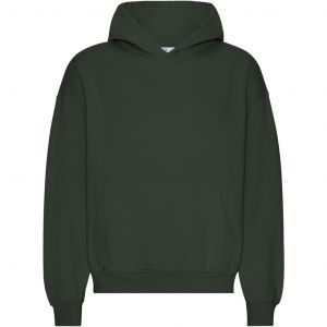Sweatshirt à capuche oversize Colorful Standard Organic Hunter Green