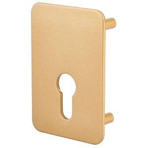 THIRARD Plaque de renfort capitalcp bz