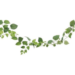 Ruedelafete Grande Guirlande feuilles Pothos 1m80, Vert