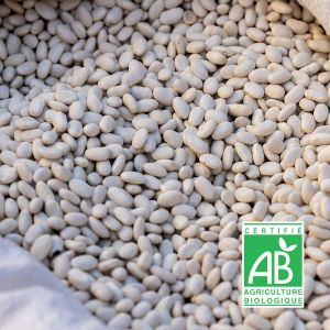 Graines de Haricot nain &agrave; &eacute;cosser Coco blanc Bio/Boite