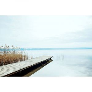 Image de Artis Tableau sur toile ponton et roseau du lac 30x45cm