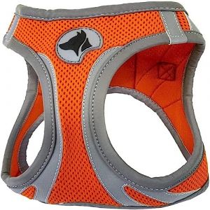 Croci Hiking Harnais Réflective pour Chien Orange Taille M