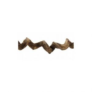 Reptiles Planet Liane Premium Vine Sambawa