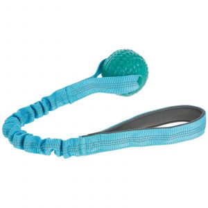 Kerbl Jouet pour chien BungeeToy