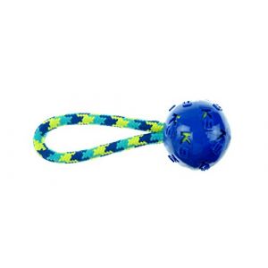 Zeus Balle à tirer 23 cm - Bleu et vert - Pour chien