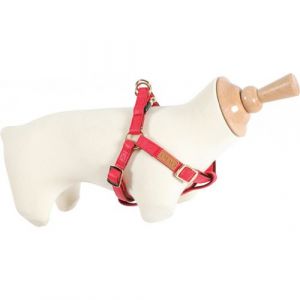 Harnais IMAO MAYFAIR 20 mm couleur rouge pour chien zolux ZO 466772RGE