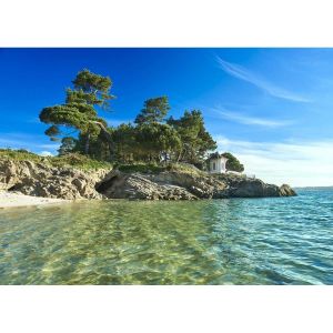 Ceanothe Tableau sur toile Beg Meil 45x65 cm