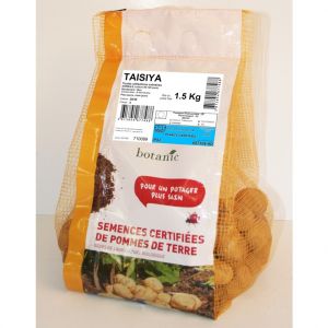 Image de Botanic Pomme de terre Taisiya bio 1,5 kg