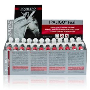 Vetoquinol Equistro Ipaligo Foal - Supplémentation du jeune poulain