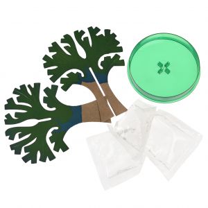 Jeux d'imagination magie de l'arbre qui pousse enfant Rex London Wonders Of Nature