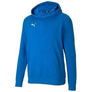 Image de Puma Teamgoal 23 Casuals Hoody Jr Pull Garçon, Electric Blue Lemonade, 164