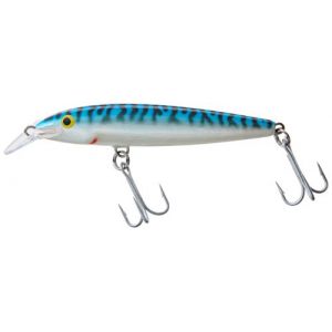 Image de Rapala Leurres Floating Magnum 110mm