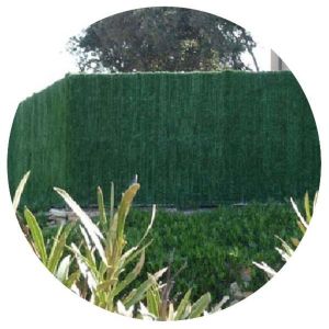 Image de Jet7Garden Haie artificielle 126 brins vert thuyas en rouleau Supra (Lot de 6) 1.8 x 3 m