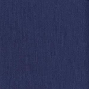 Bazzill basics paper Papier scrapbooking Bazzill 30 x 30 cm - Texture - Admiral (bleu marine)
