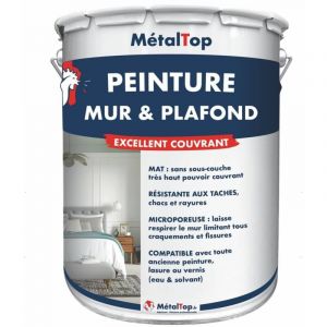 Peinture Mur Et Plafond - Gris agate - RAL 7038 - Pot 1L