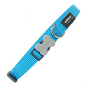 Collier pour Chien Lisse Turquoise 2 3147 cm