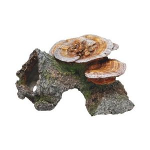 Nobby Aqua DecoARBRE CREUX ET CHAMPIGNONS180x190x100mm - VADIGRAN