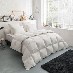 Dodo Couette Thermoduv TEMPEREE - 70% Duvet d'Oie - 140/200 Blanc