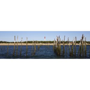 Ceanothe Tableau sur toile arc Cap Ferret 30x97 cm